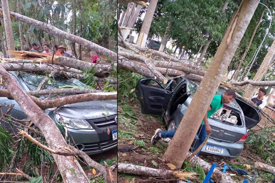 VENTO ASSOMBROSO - Vendaval em Ministro Andreazza deixa duas pessoas gravemente feridas ao derrubar árvores durante evento rural
